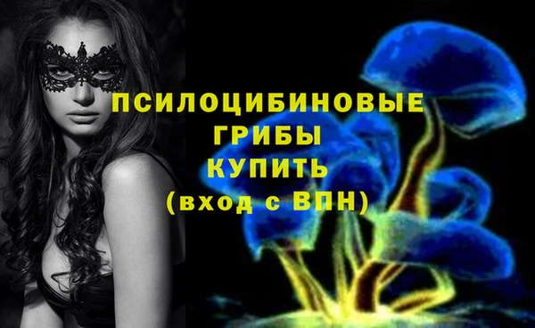 ECSTASY Бердск