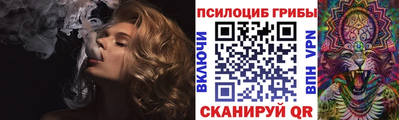 как найти наркотики  Азнакаево  Псилоцибиновые грибы Cubensis 