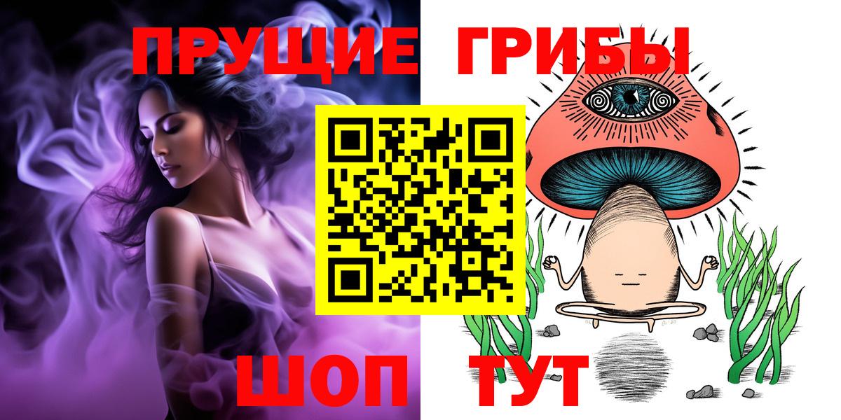 Галлюциногенные грибы Psilocybine cubensis  Азнакаево 