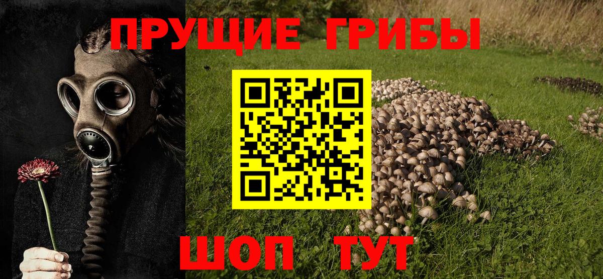 Галлюциногенные грибы Cubensis  Вход с VPN  Азнакаево 