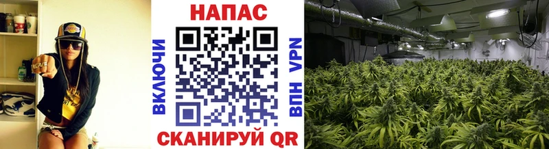 Канабис индика Азнакаево
